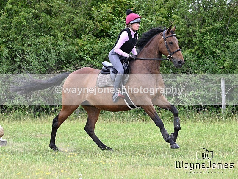 WJ7_8458 - Kellie Jade Ellie XC training with Kelly Harris 28-06-26