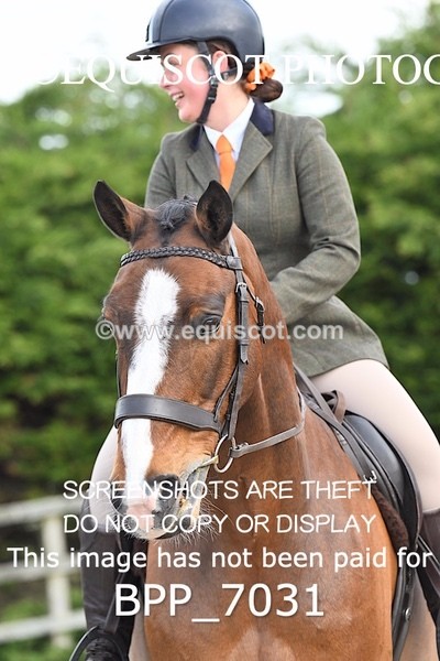 BPP_7031 - RING 1  (RIDDEN HORSES / IN HAND / VETERAN ETC)