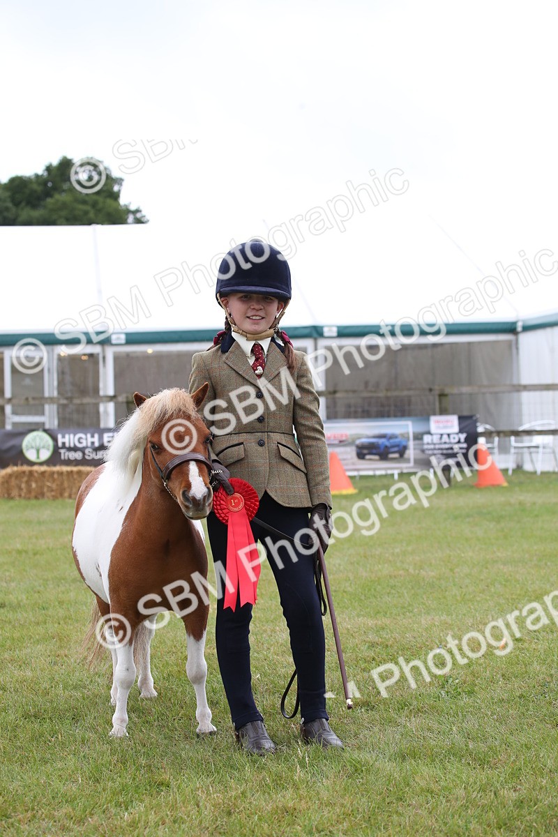 SBM_04014 - Class 23-25 - British Miniature Horse of the Year