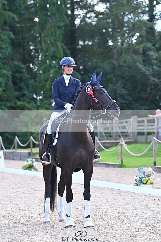 240809-163513-02399 - Novice Gold