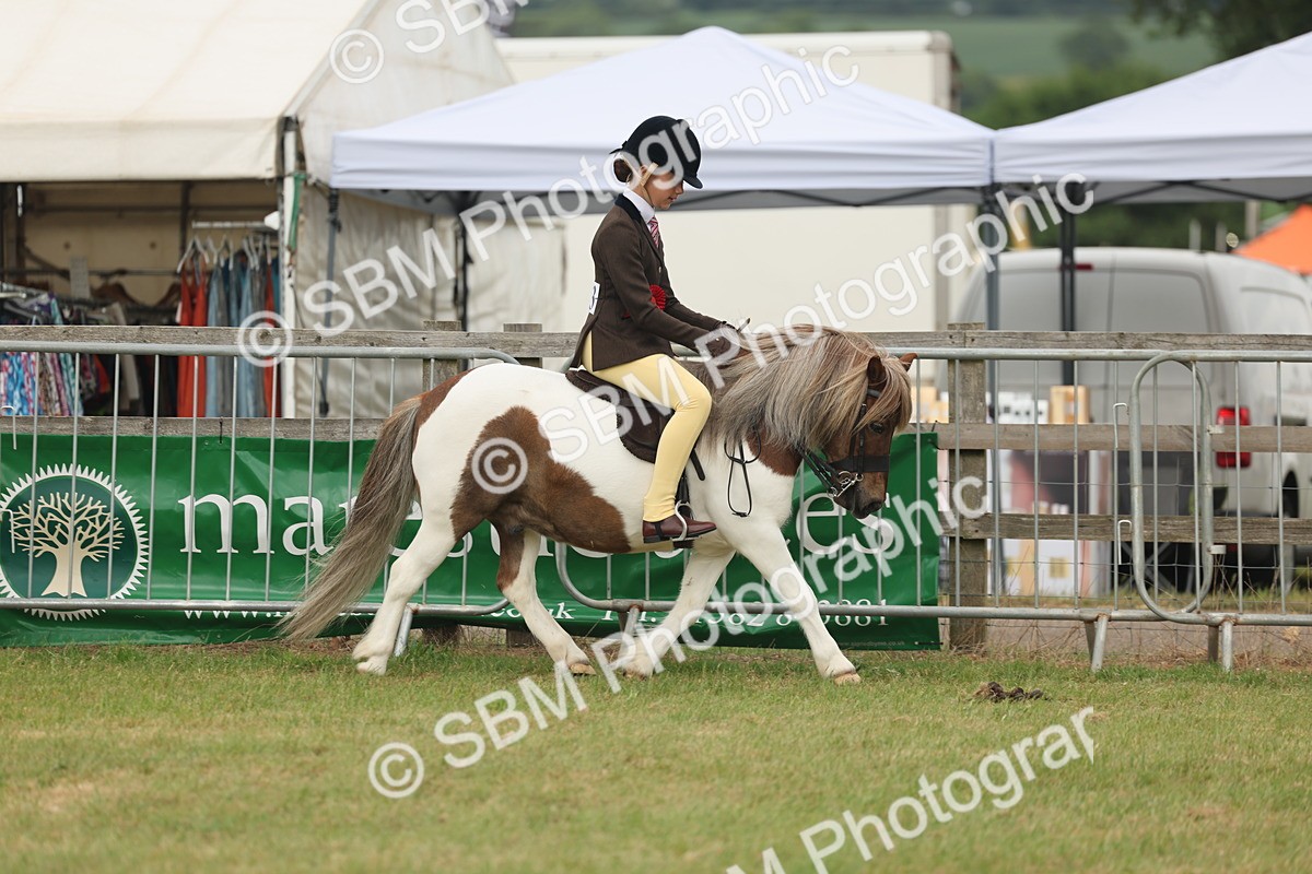 SBM_09106 - Class 78-80 - Ridden M&M Non Welsh Ponies