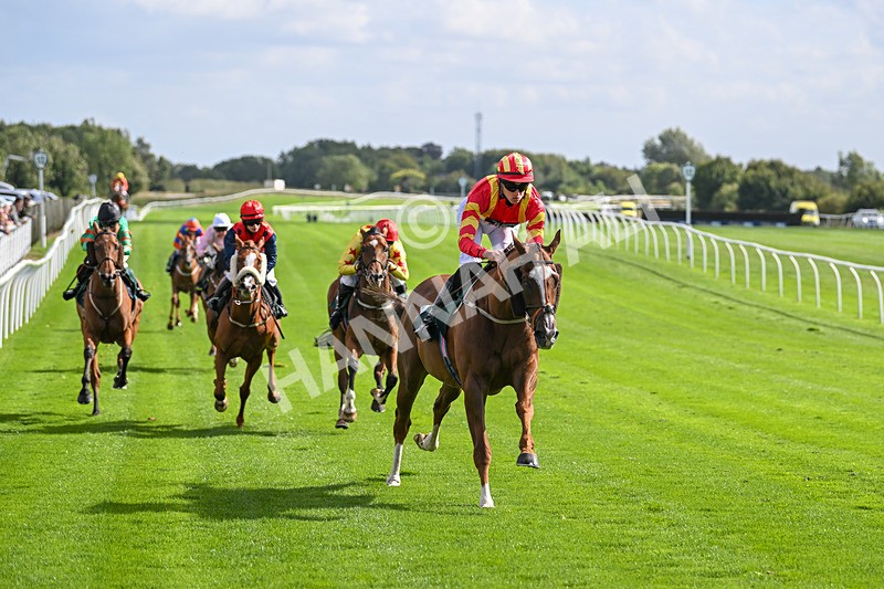 100924-Race 1-The Dancing Poet-9881 - Race 1