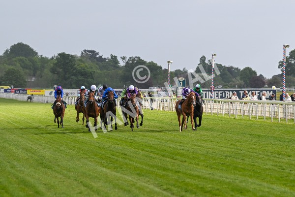 150525-First Legion-5131 - Race 6 4.55pm Frank Whittle Partnership ebfstallions.com Novice Stakes