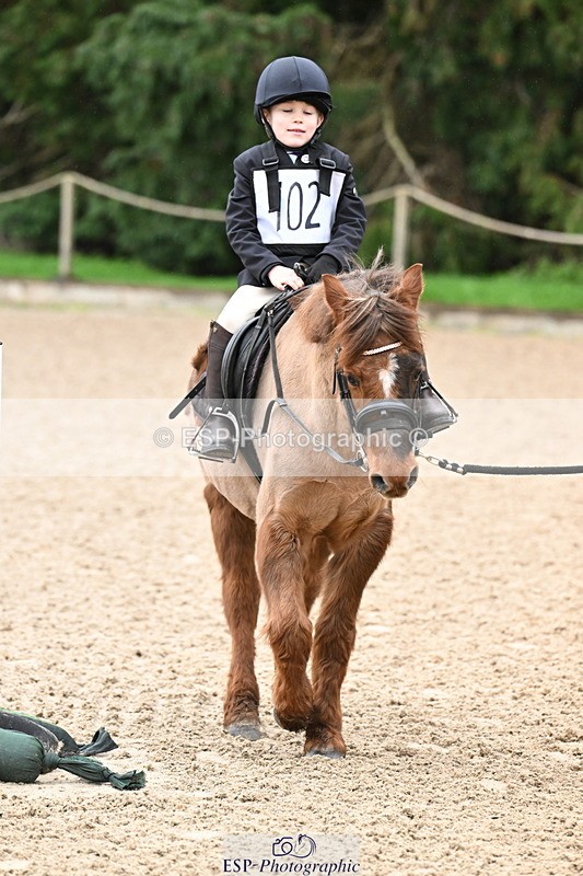260222A-091102-00046 - 40cm Lead Rein and Assisted
