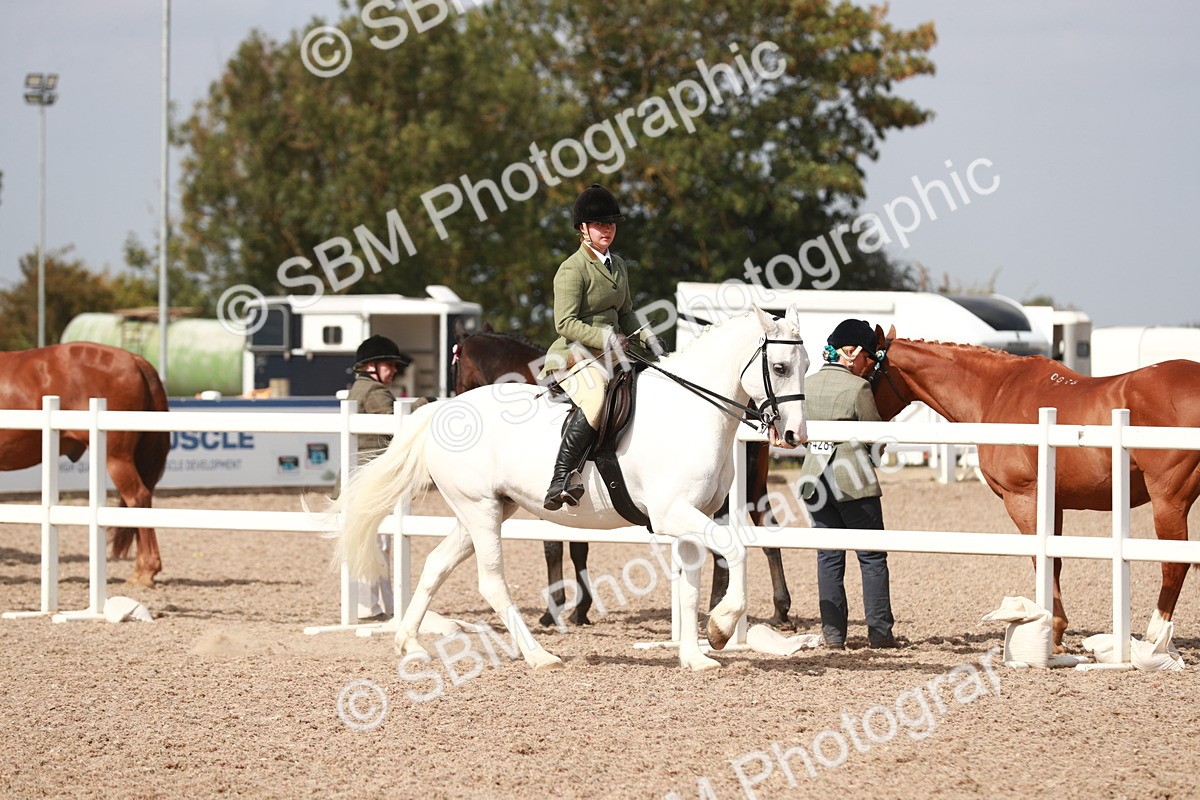 SBM_14825 - Class 212 Ridden Hunter - Small