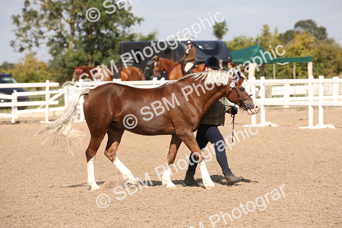 SBM_02831 - Class 16 IH M&M Wildcard