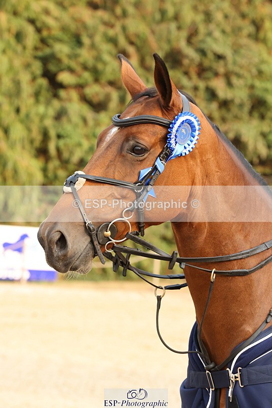 250816A-182538-03369 - Cls 11 Snr Foxhunter