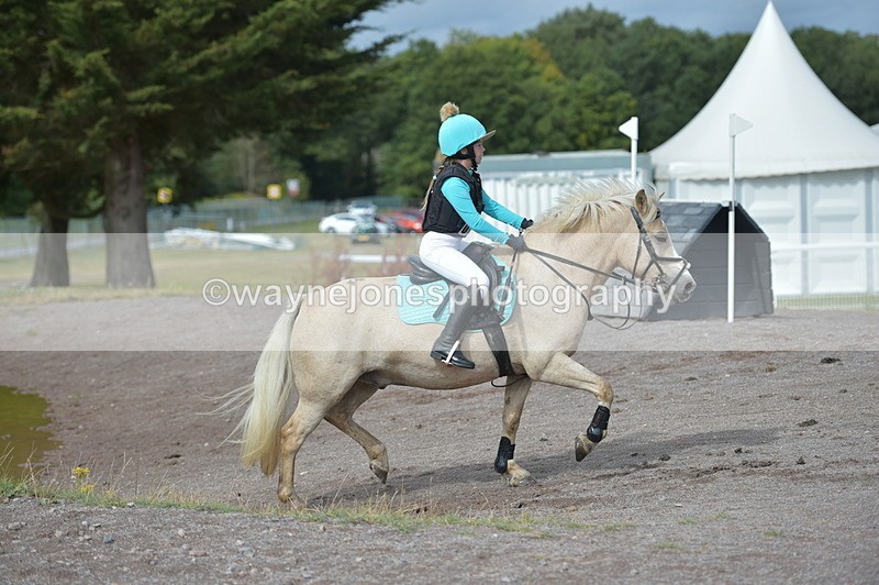 NGP_1894 - XC Time 10:53 to 11:00