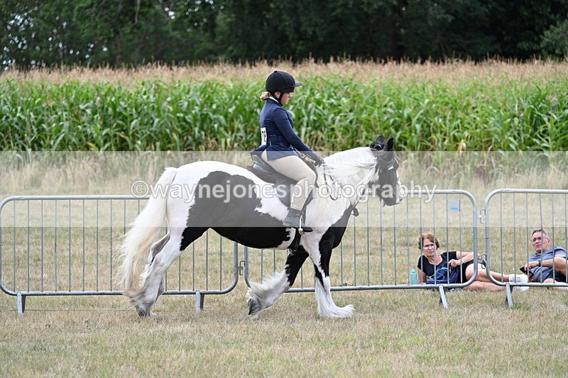 WJ7_5350 - Class 12 Ridden Cob