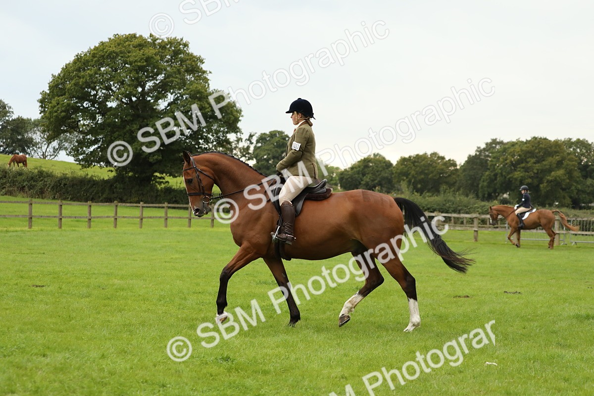SBM_73705 - S41 - Ridden Equitation (Best Rider)