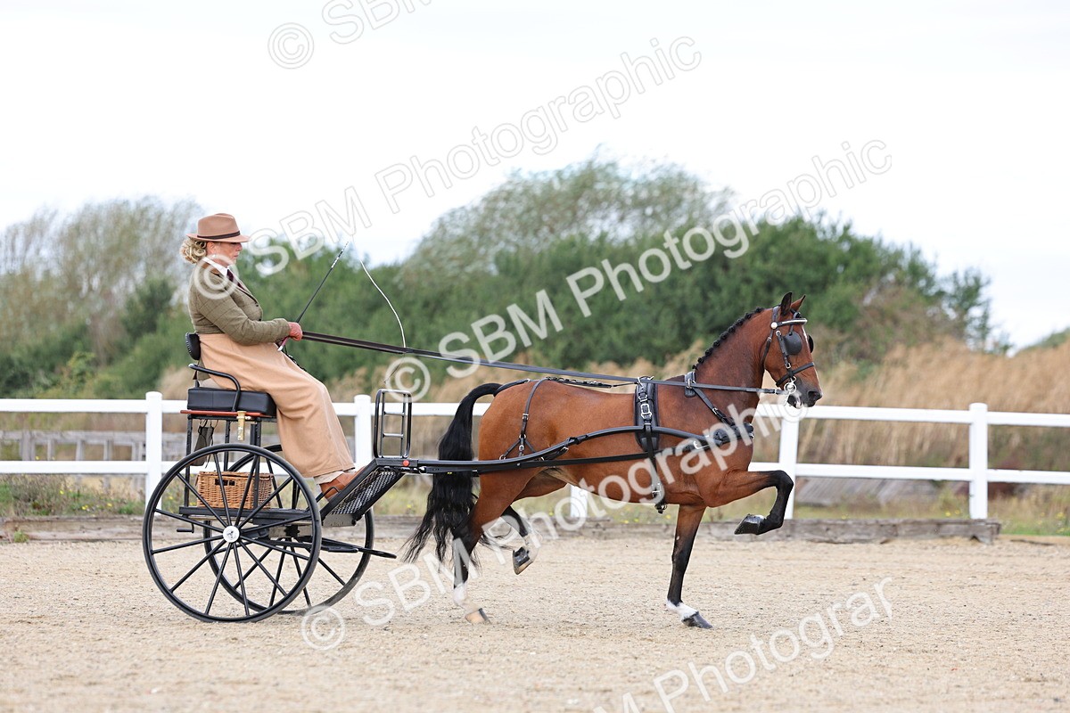 SBM_000260 - Class 2 - Exercise Vehicle 13.2hh & Under