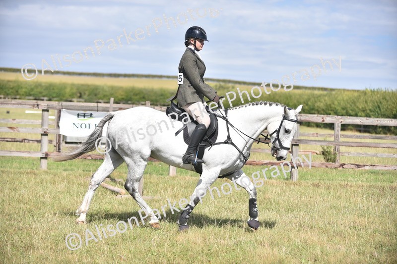 20260906-2699 - Class 13 - Working Hunter Horse or Pony
