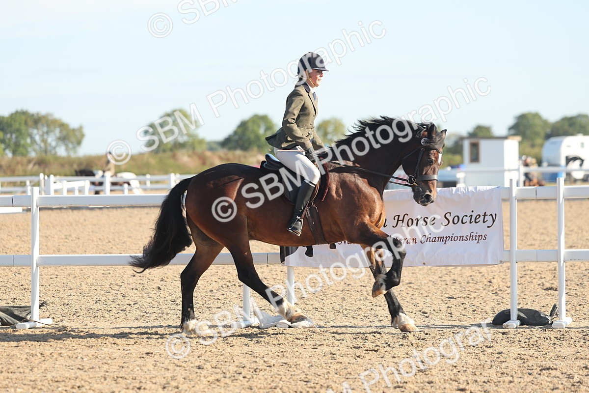 SBM_10996 - Class 302 - Ridden M&M Large Breeds