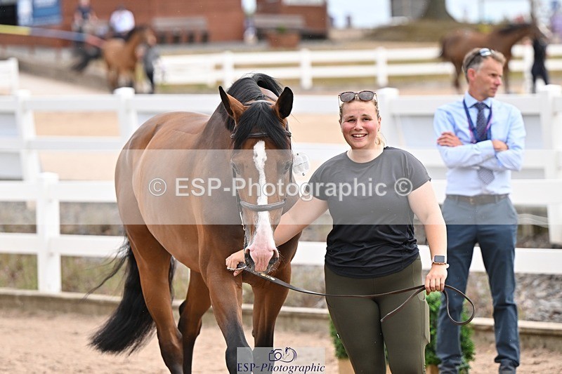 250716-151335-01793 - Trot Up 2.30 to 3.30