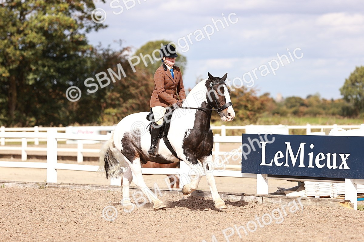 SBM_14428 - Class 410 - Grassroots Ridden - Horse