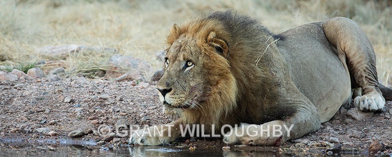  - Namibia