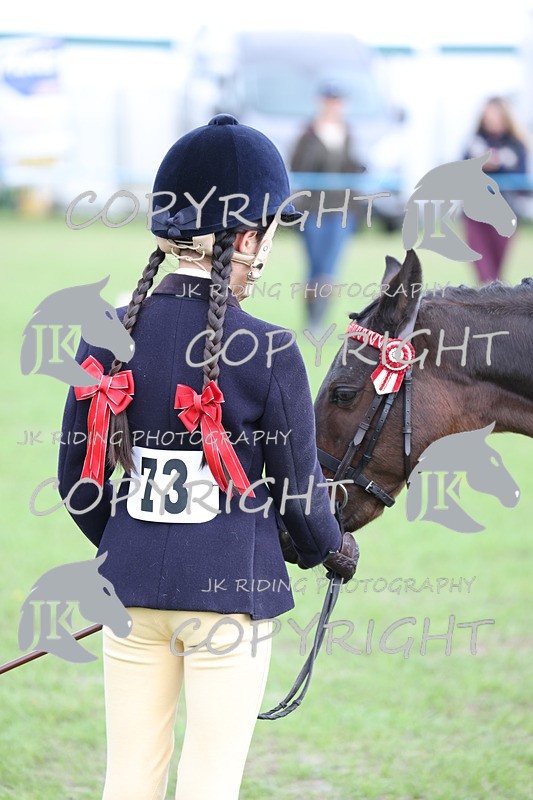 APP_2631 - Class 9 Veterans in hand