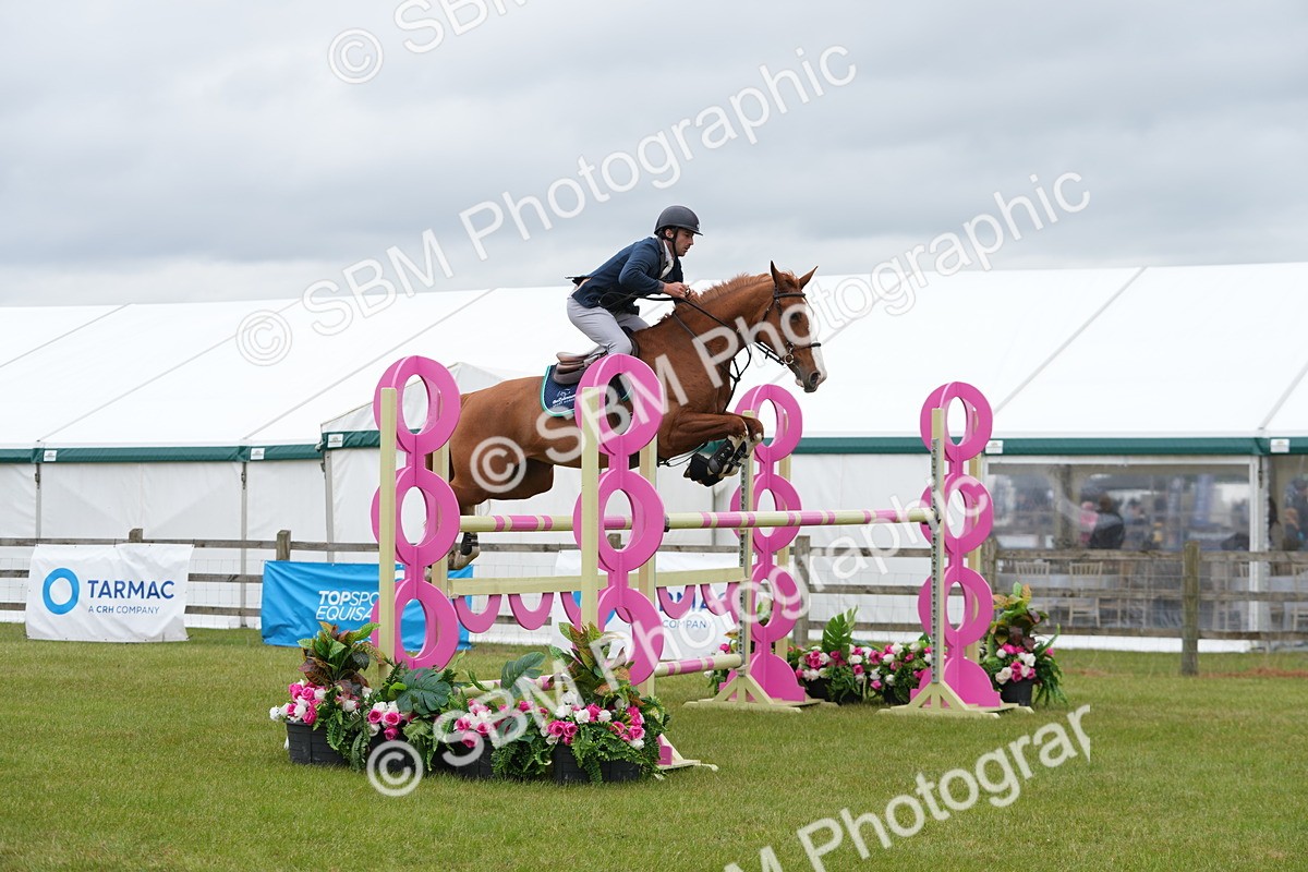 SBM_03472 - Class 201 - British Horse Feeds Speedi Beet Horse of the Year Show Grade  C