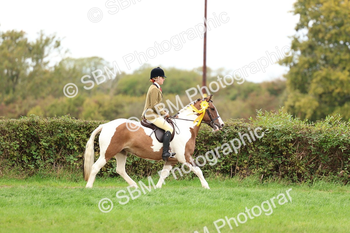SBM_64682 - S58 - Coloured Pony Ridden