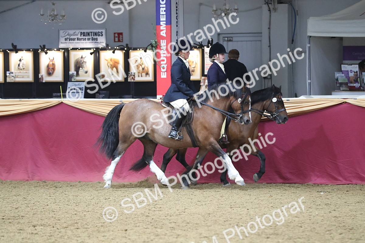 SBM_13705 - Class 109 Ridden Pairs - Section B