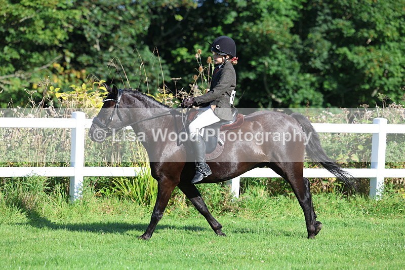 3E7A7605 - Class 1: Novice Working Hunter Pony