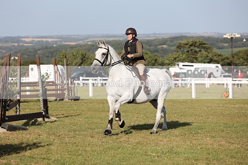 JPP_3331 - Class 22: Working Hunter 90cm