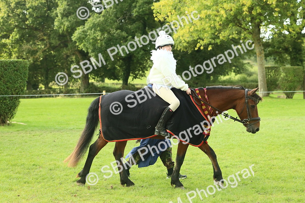 SBM_63501 - S35 - Fancy Dress Showing