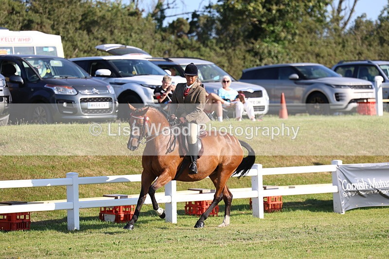 3E7A5038 - Class 1: Rising Star Small Hack/Riding Horses