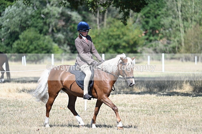 WJ7_3987 - Class 9 Mountain & Moorland Ridden