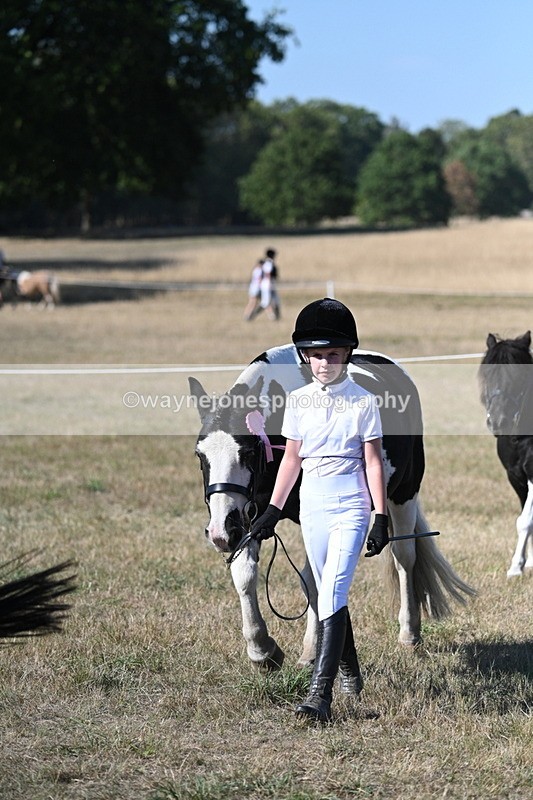 WJ7_2006 - Class 43 Best Six Legs (In hand)