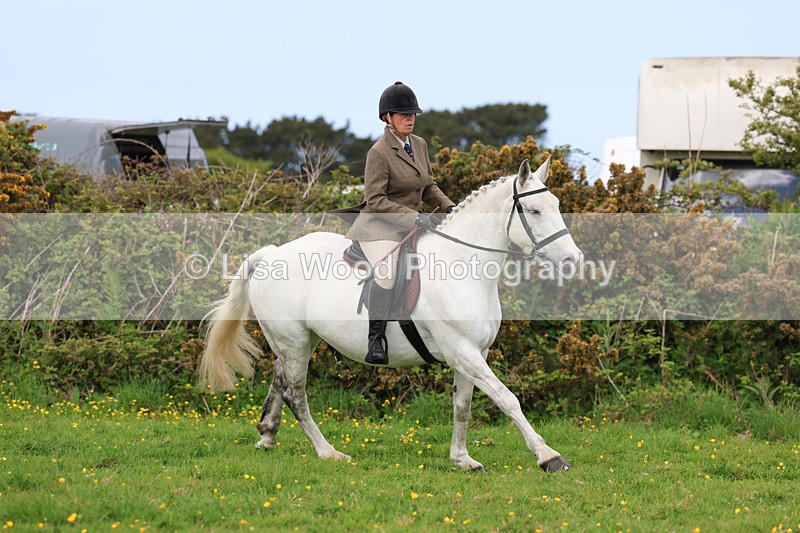 3E7A1258 - Class 7: Ridden Hunter Type