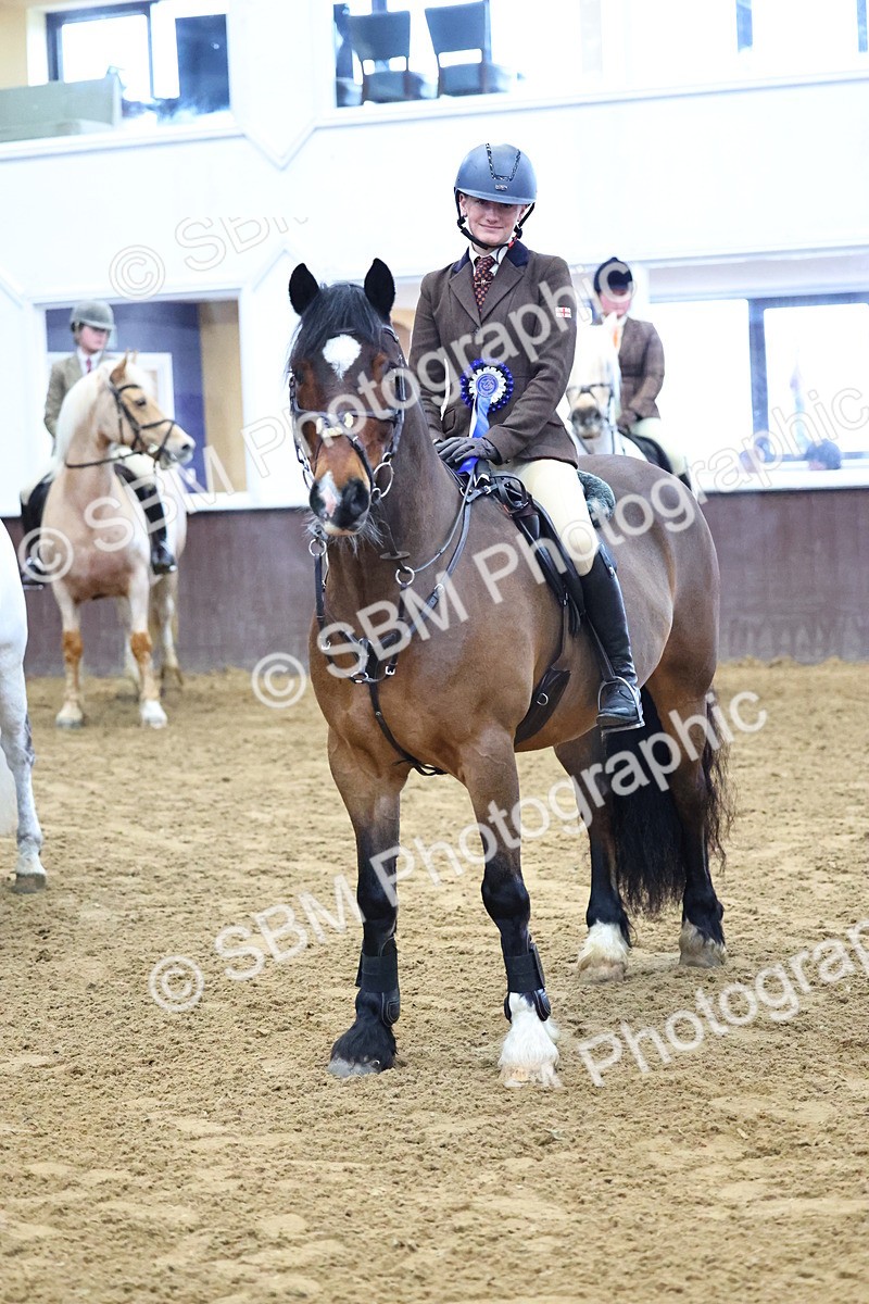 SBM_003687 - Class 37 - 80cm Training Stakes