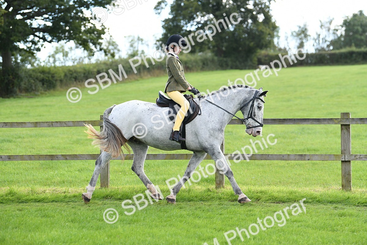SBM_46724 - S12 - Family Horse & Pony