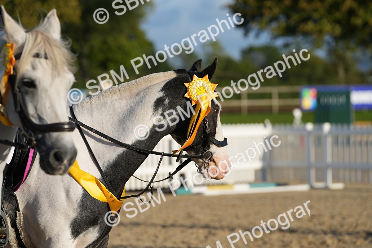 SBM_54041 - J8 - Junior Pony 65cm Championship