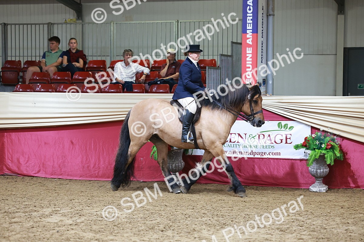 SBM_18568 - Class 952 - M&M Ridden Supreme Final