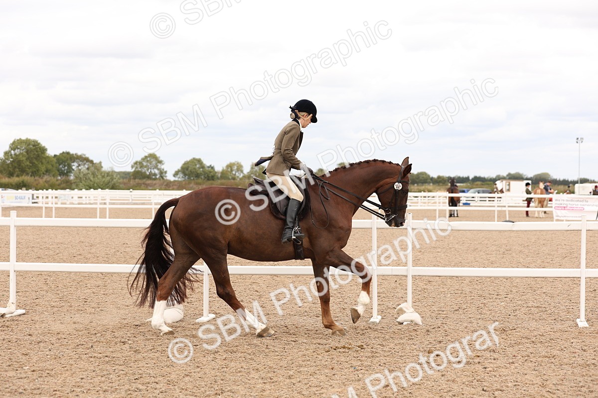 SBM_17215 - Class 213 - Ridden Hunter - Large