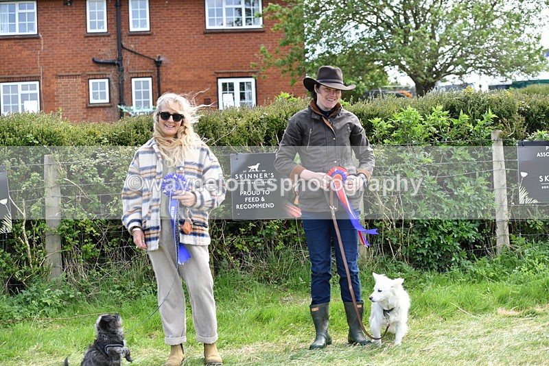 WJ5_0839 - Best in Show Championship
