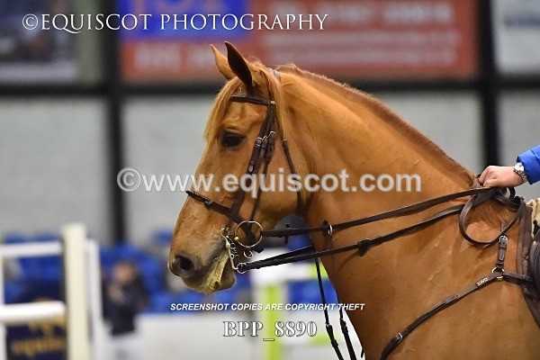 BPP_8890 - 14TH NOVEMBER 2017 - GEORGE & JAMES WHITAKER DEMO - MORRIS EC
