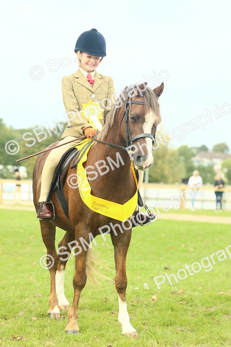 SBM_70010 - S59 - Mountain & Moorland Ridden Small Breeds