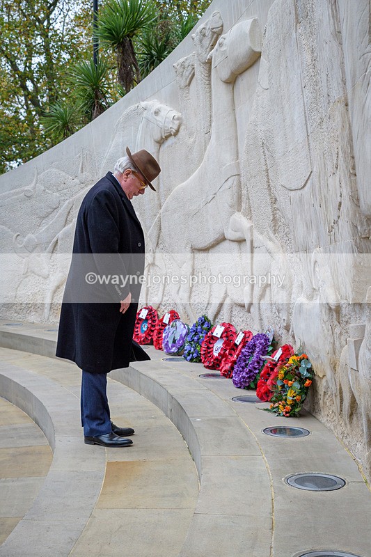 NGP_8229 - 2024 Animals in War Remembrance Gathering