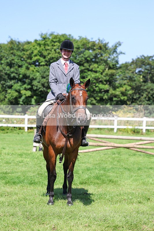 3E7A8519 - Class 4: Novice working Hunter