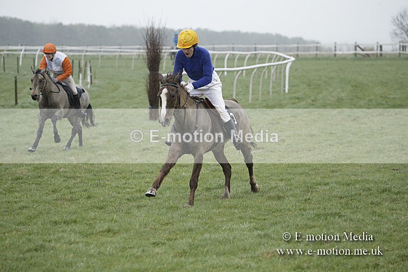 PtP 150320 0080 - New Forest Point-to-Point Larkhill 15/03/20