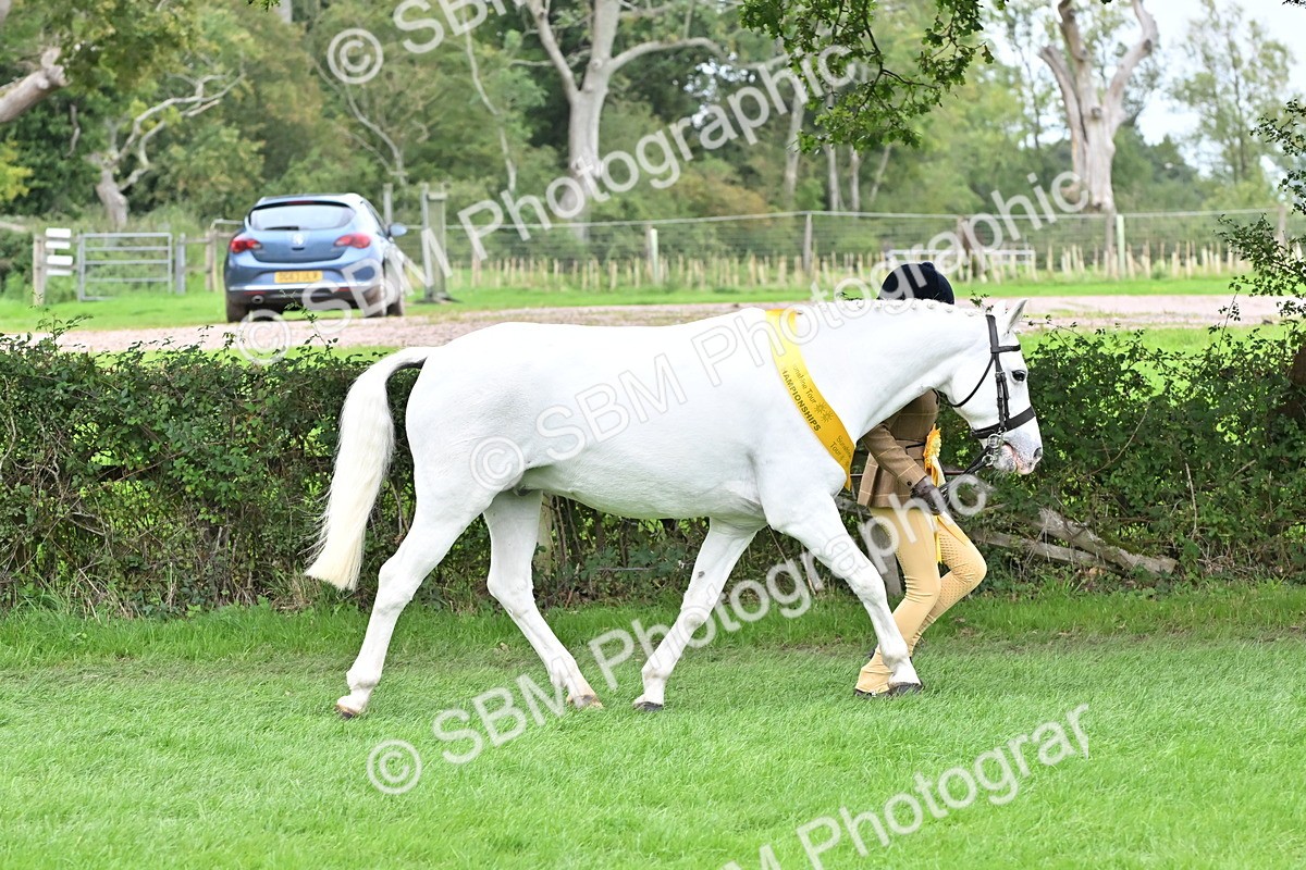 SBM_64988 - In Hand Pony & Younstock Supreme Championship