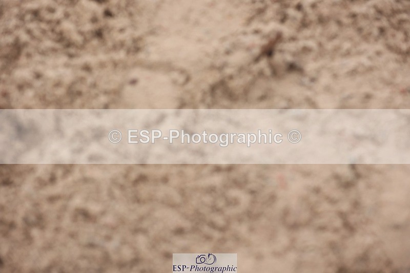 241116X-104140-00938 - Cls 08 Pony Winter Nov Champs
