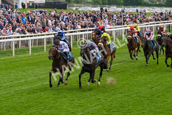 160524-Race 6-Andesite-6669 - Race 6 4.45pm Frank Whittle Partnership ebfstallions.com Novice Stakes