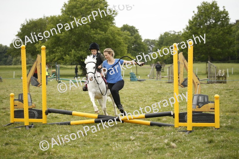 20250517-0152 - Class 1 - 30cm On Lead Rein