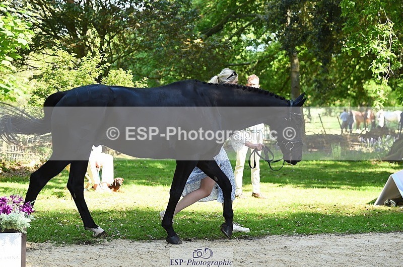 230524-153324-00354 - 358-EQUADOR_MW-Toots_Bartlett-WEDTrotUp+DR