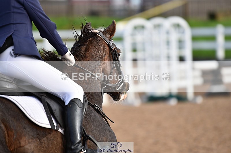 231028A-102542-00412 - Cls 1 Pony 70cm