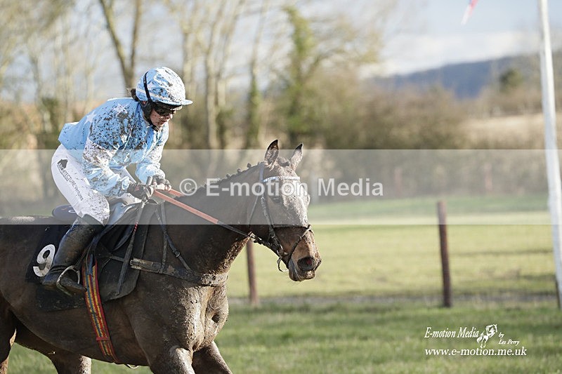 PtP 180323 1536 - Shelfield Park Races with Croome & West Warwickshire Hunt  18/03/23