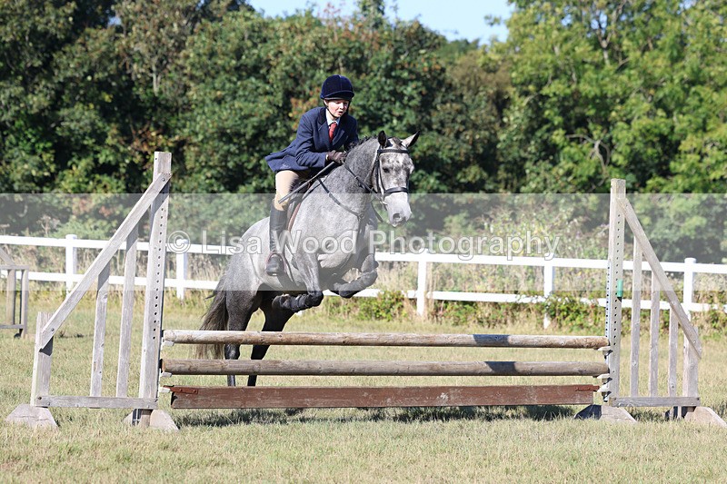 3E7A5460 - Class 3: Working Hunter 70cm